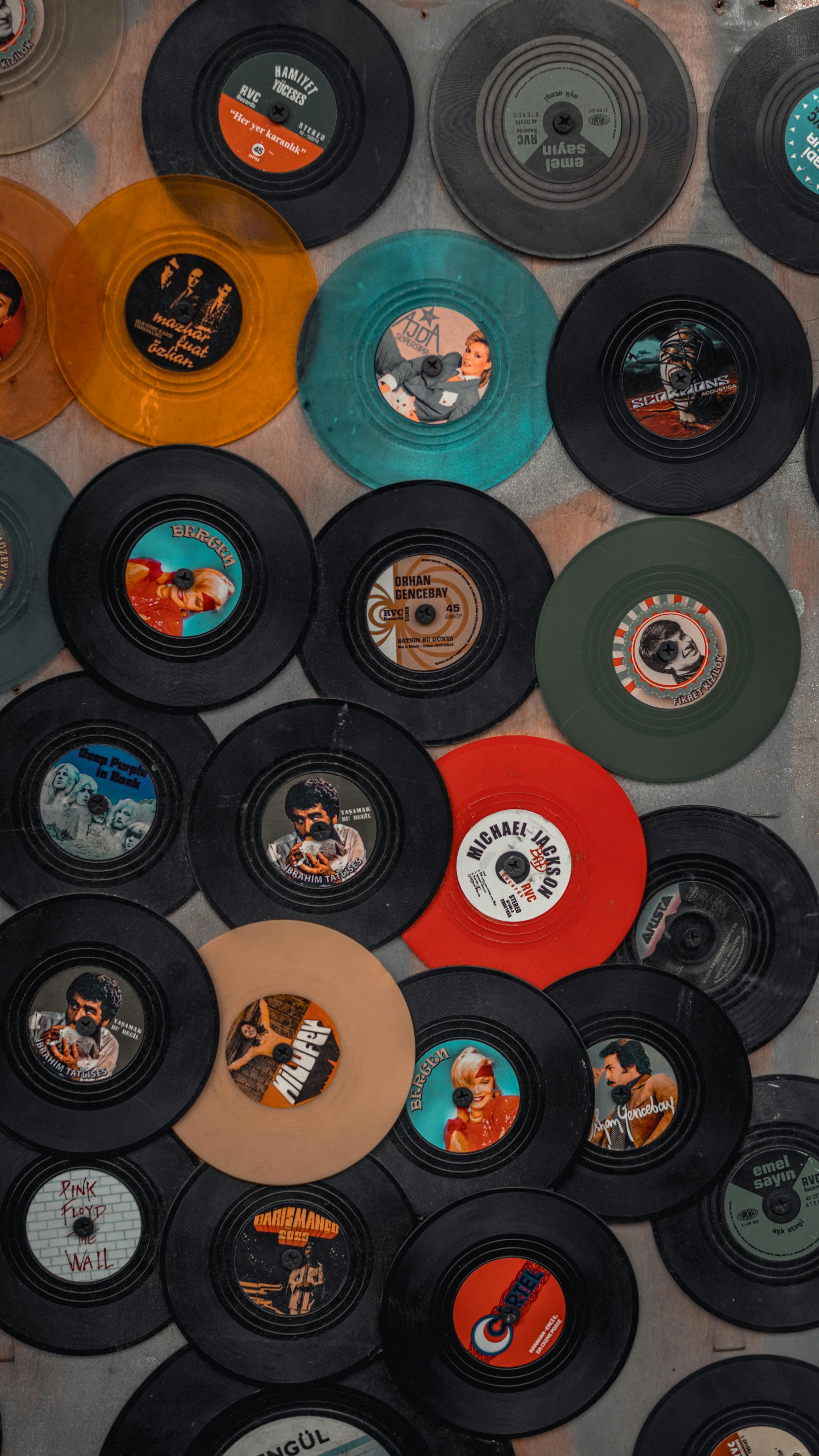 A wall of vinyl records in varied colors.